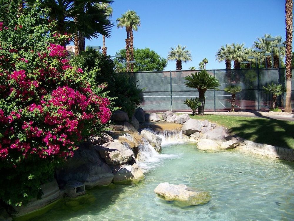 The Oasis Resort Palm Springs Fasiliteter bilde